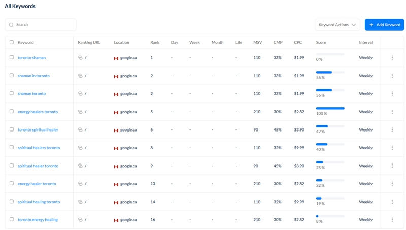 toronto-shaman-top-10-kw-800x453-local-business-marketing-dot-business